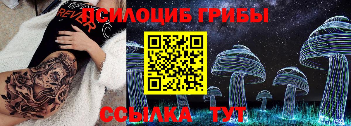 ГАШ Россия