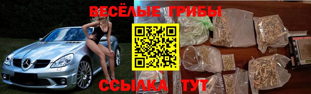 Россия  Галлюциногенные грибы Cubensis  Вход с VPN 